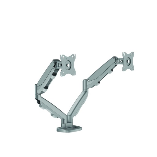 [9683301] FELLOWES BRAS PORTE-ECRANS DOUBLE EPPA - GRIS