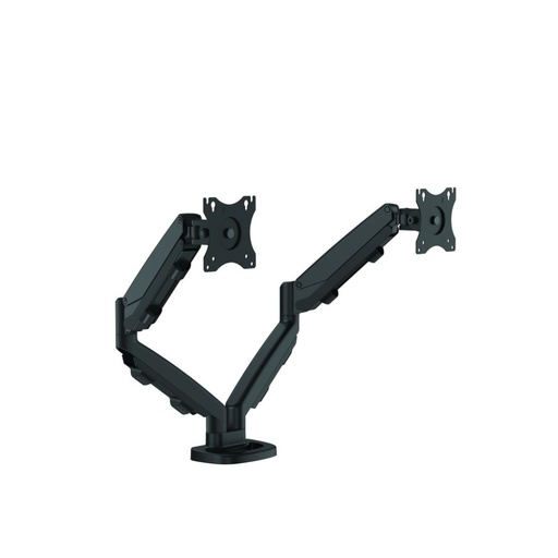[9683401] FELLOWES BRAS PORTE-ECRAN DOUBLE EPPA - NOIR