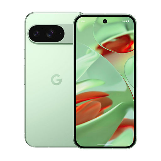 [840353911345] Google Pixel 9 5G Dual Sim 12GB RAM 128GB - Wintergreen