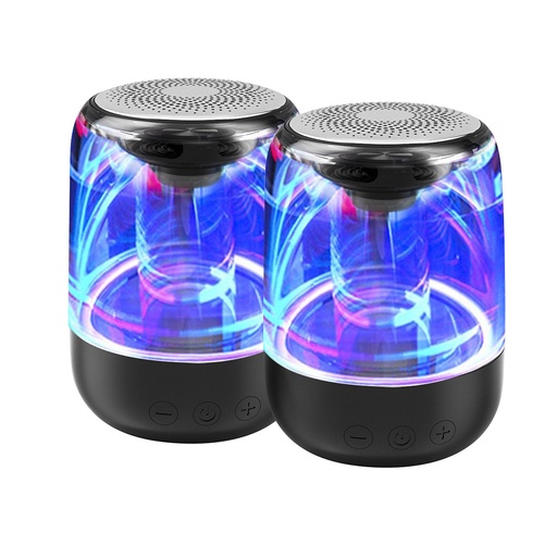 [WEENCTWS2PN] Pack d'enceinte BT 2pcs WE, 5W*2 BT 5,0, Lecteur de carte Micro SD Batterie 1000